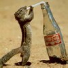 profil boursier de Malesan