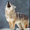 profil boursier de Argent2