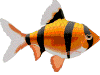 profil boursier de Ribka