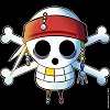 profil boursier de Rallier