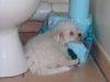 profil boursier de Toniocfpb