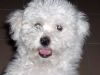 profil boursier de Orelle
