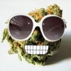 profil boursier de Greencash974