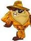 profil boursier de Taz95